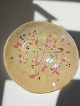 Ceramics - 423