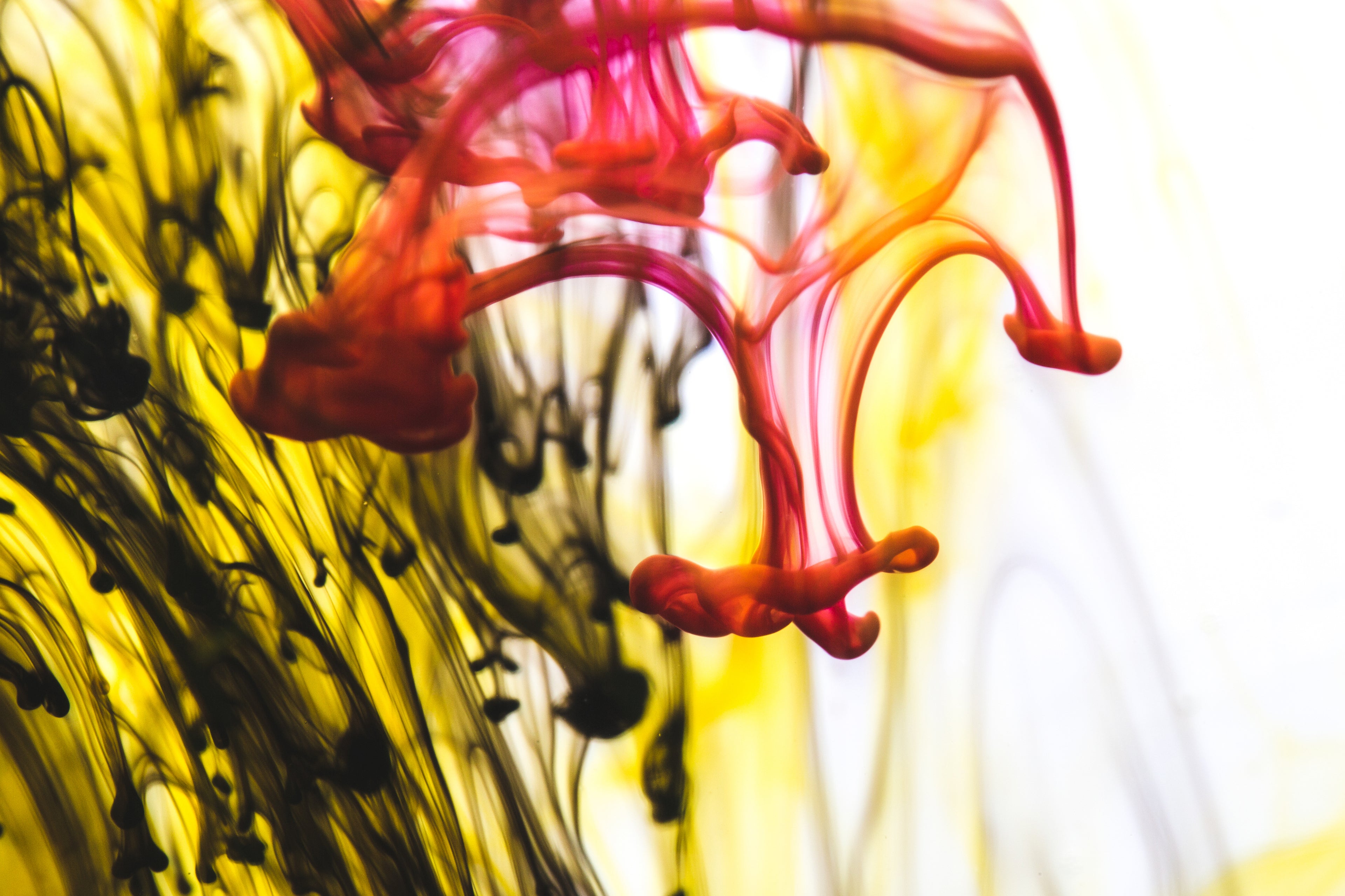 Load video: Market Event 2026