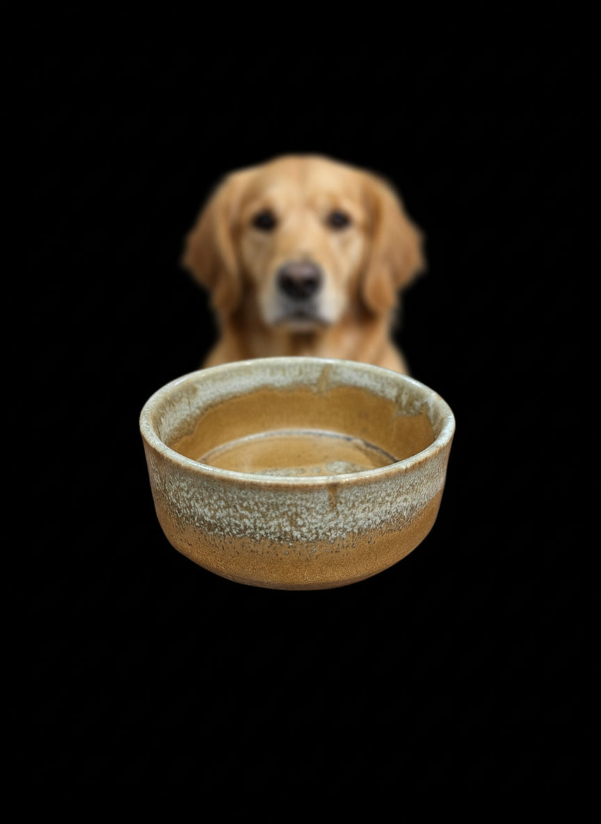 Ceramics - 519